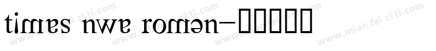 times nwe roman字体转换